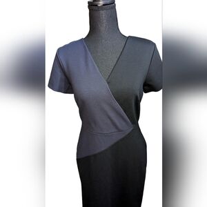 Women’s Size 2 Ann Taylor The All Day Ponte Dress in Colorblock